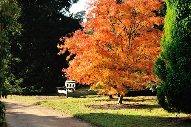 Shefield Park Bench HBM