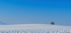Winter im Zürcher Unterland (© Buelipix)
