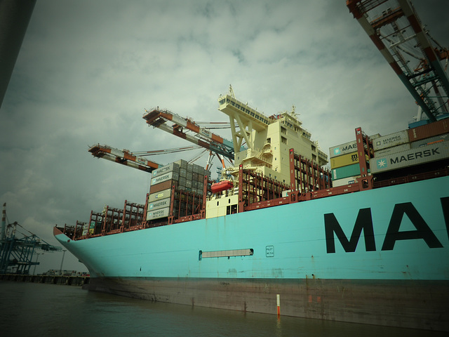 MAYVIEW MAERSK