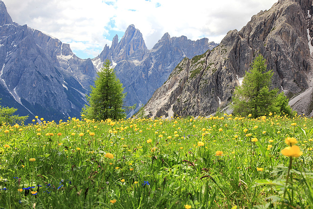 letzter Blick von den Innergsellwiesen auf den Zwölferkogel (Bildmitte)