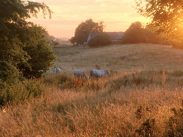 -landschaft 5756