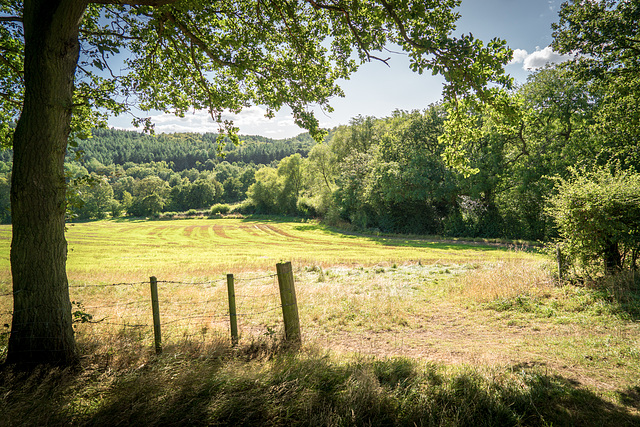 ''HFF'' to everyone.. from Dj. at 'Ladybank wood'