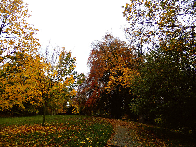 Beutlerpark in Dresden (2)