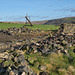 Traditional Dry Stone wall construction