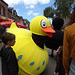 Les grands ducks,  de la compagnie faits divers , aux Esclaffades de Saint-Hélen (22)