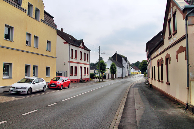 Castroper Hellweg (Bochum-Gerthe) / 3.08.2024