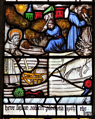 morley church, derbs;  c15 glass of 1470 from dale abbey