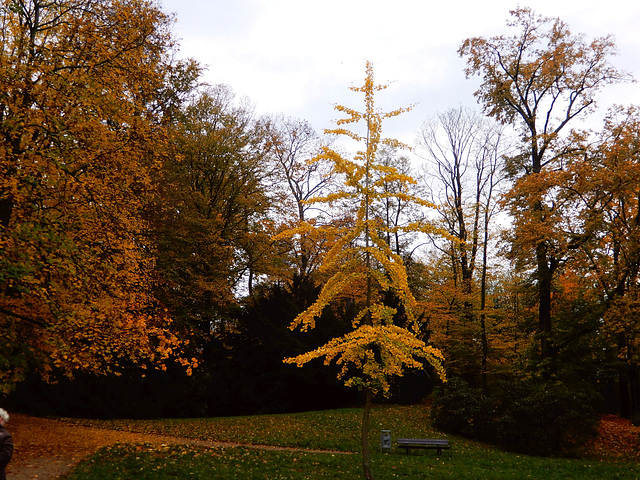 Beutlerpark in Dresden (3)