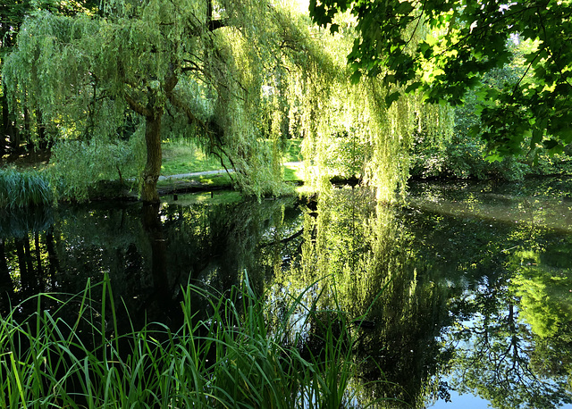 Im Schlosspark