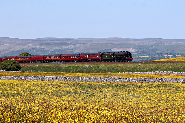 Stanier LMS class 7P Royal Scot 46115 SCOTS GUARDSMAN at Wharton Dykes with 1Z87 15.16 Appleby - London Euston 3rd June 2023. (steam on as far as Preston)