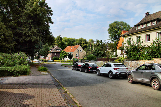 Am Stadtgarten (Castrop-Rauxel) / 3.08.2024