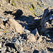 Útigönguhöfði Hike