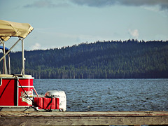 Windy day at the lake