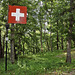 Randenturm Siblingen (8) - Schweizer Fahne