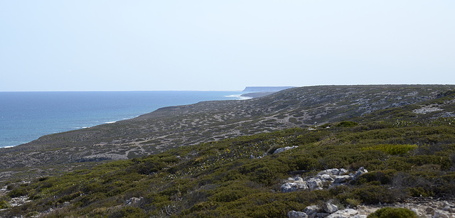 The  Great Australian Bight