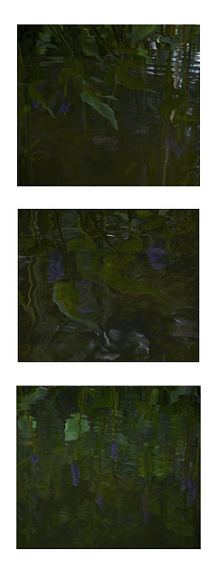Reflets d'étang Mauve  3