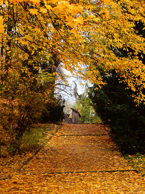 Beutlerpark in Dresden (4)