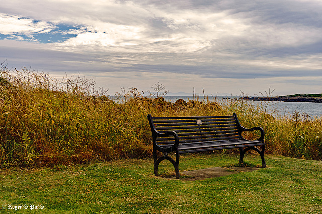 Solway View