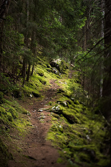 On the way ... / Sur le chemin ...