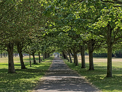 Southsea Common View