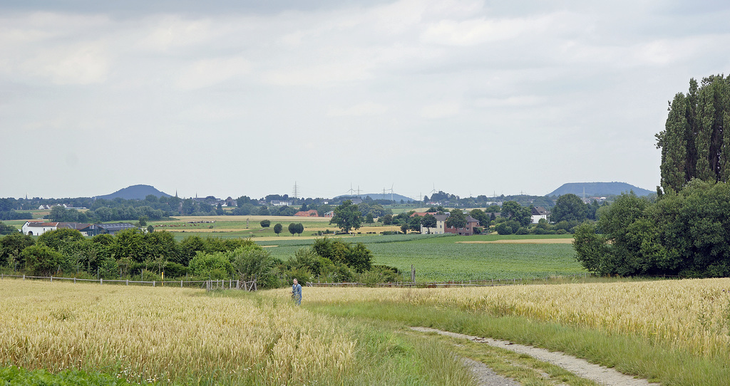 view to  coalhills of Herzogenrath ,Merkstein ,Alsdorf