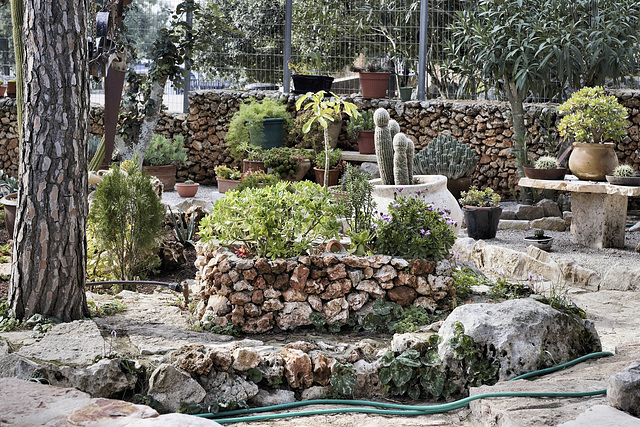 Cactus Garden, Take #2 – El-Muraqa Monastery, Daliyat al-Karmel, Israel