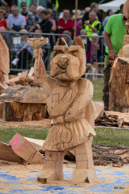 The Carrbridge World Chainsaw Carving Championship 2018