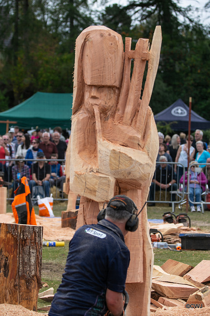 The Carrbridge World Chainsaw Carving Championship 2018