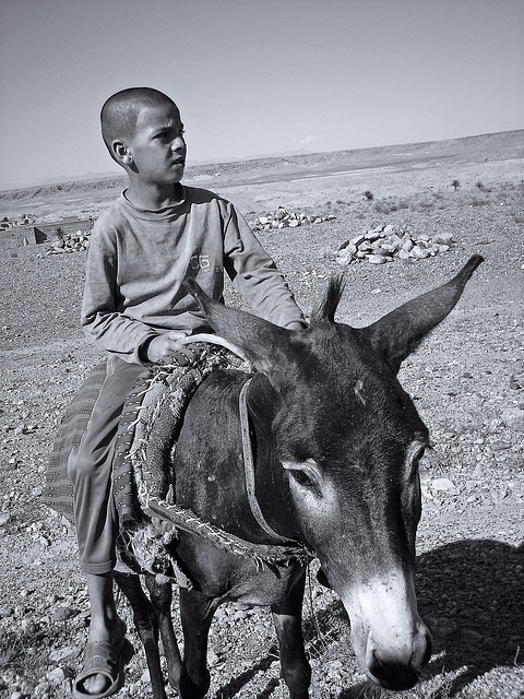 Dans la campagne marocaine