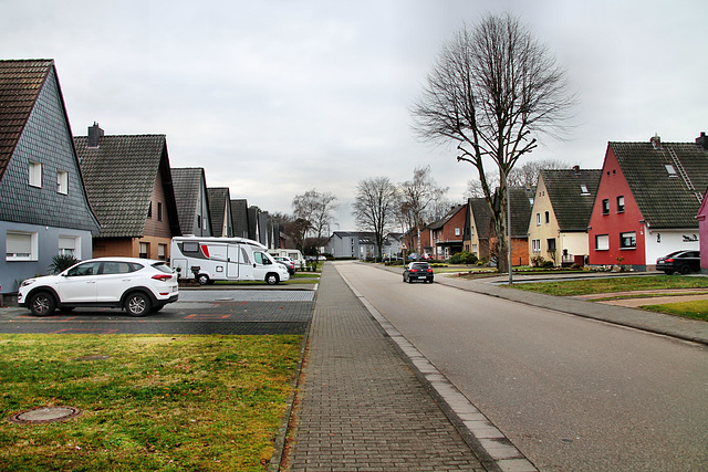 Amselstraße (Marl-Hamm) / 12.12.2018