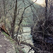 River Wye Chee Dale (Scan from 1991)
