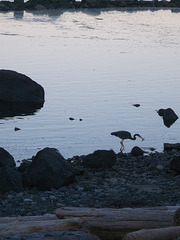 A late evening supper / Un souper tardif (2)