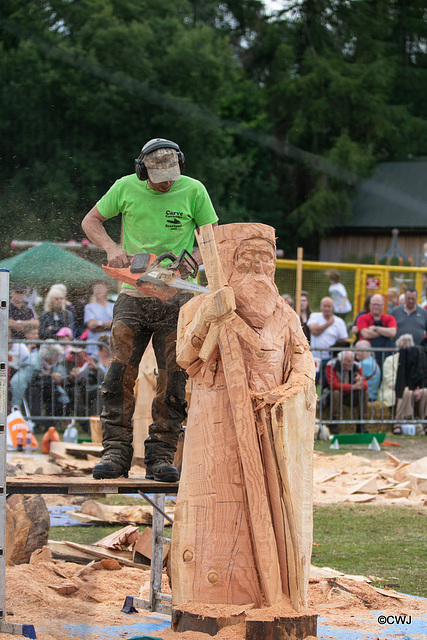 The Carrbridge World Chainsaw Carving Championship 2018