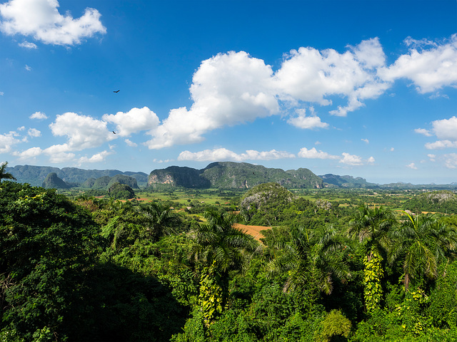 Valle de Viñales, Cuba