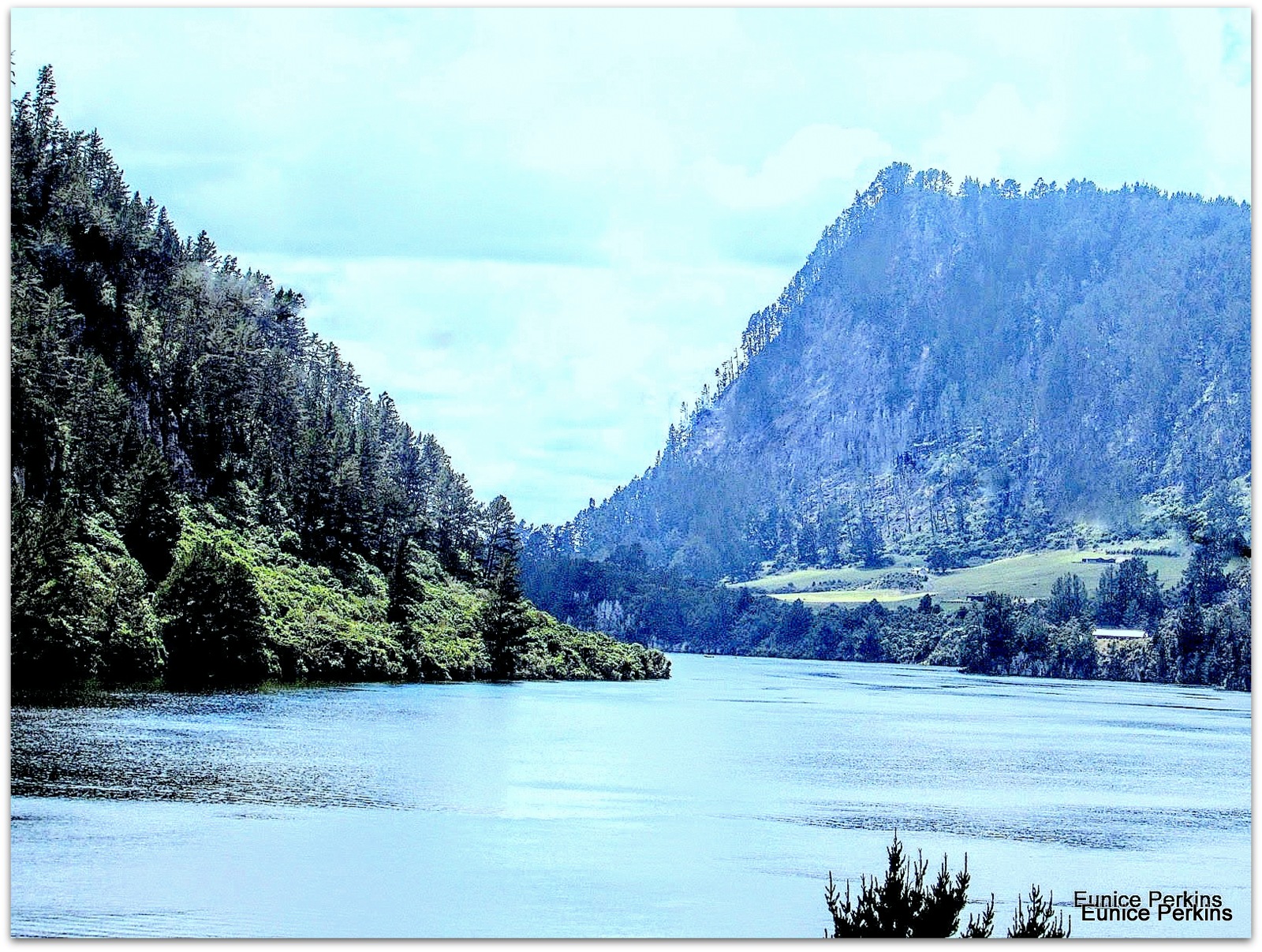 Lake Whakamaru