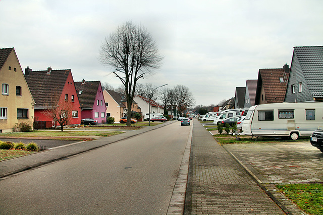 Amselstraße (Marl-Hamm) / 12.12.2018