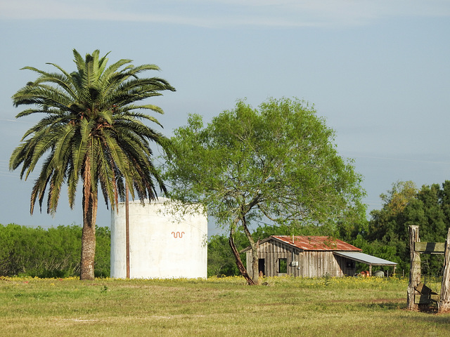 Day 5, King Ranch, Norias Division