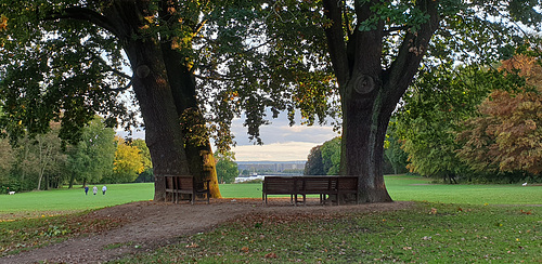 Jenischpark