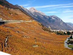 HFF from  Swiss Vine Slopes SE of Mount Blanc