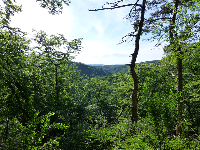 Auf dem Eltzer Burgpanorama