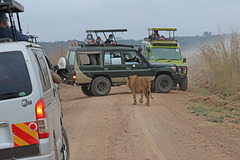 Traffic jam