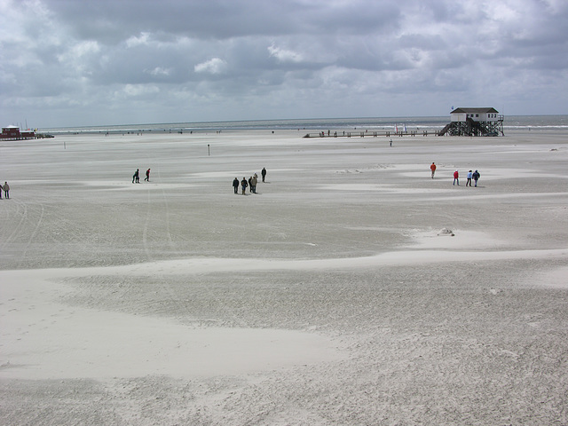 Ebbe vor Sankt Peter-Ording