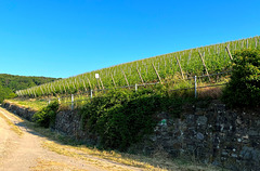 Weinbergsmauer