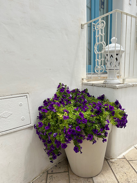 Flowerpot and a balaustre.