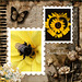 Schlafende Hummel  ❥