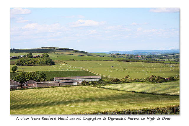 Across Chyngton Farm to High & Over - Seaford - Sussex - 8.6.2015