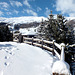 snow fence