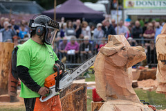 The Carrbridge World Chainsaw Carving Championship 2018