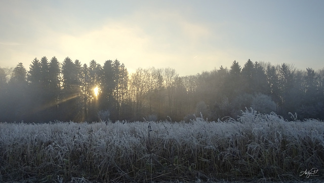 a cold winter morning