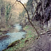 River Wye, Chee Dale (Scan from 1991)
